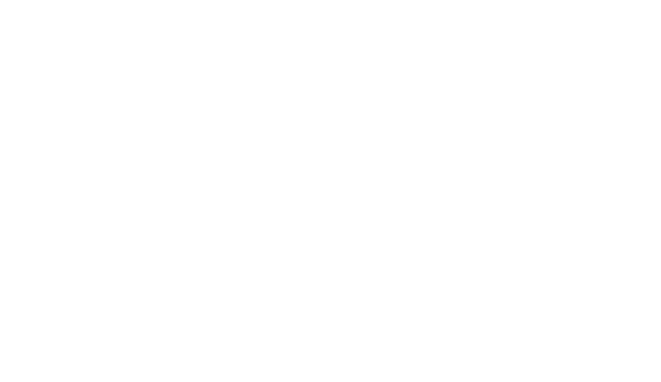 Lions Boulevard Logo